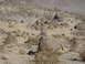 KOH 2012 013.JPG